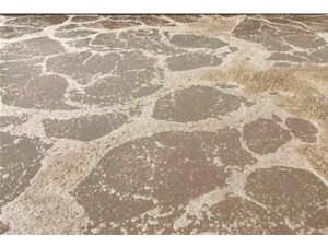 廢水處理中常用的氧化劑和還原劑有哪些？